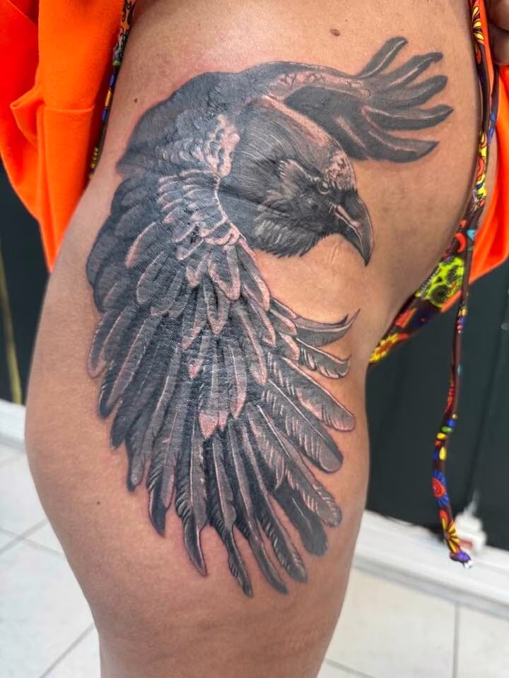 Corbeau · Noir & gris