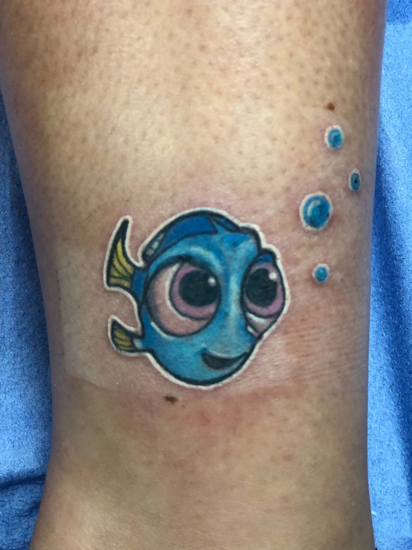 Dory · Couleur