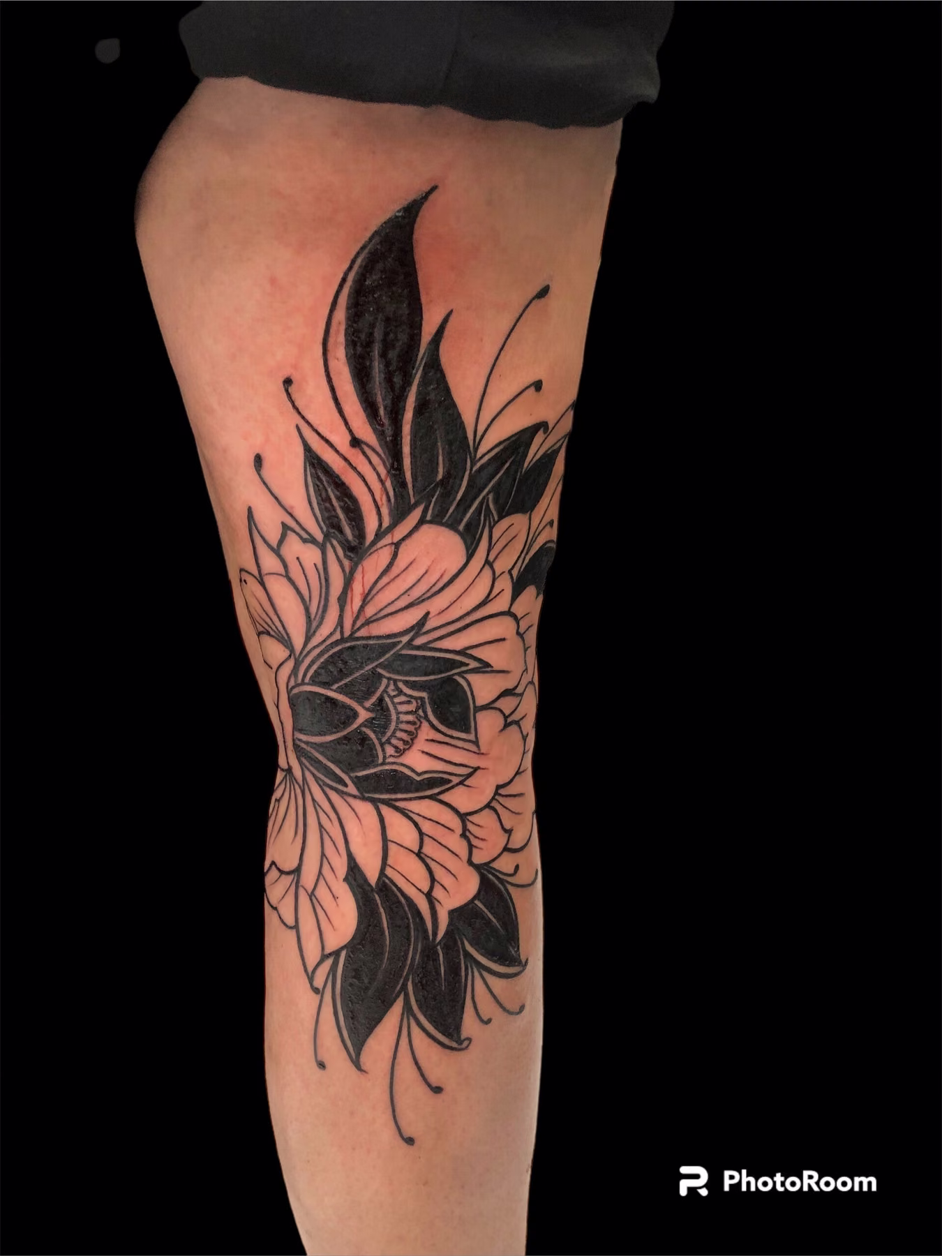Floral graphique · II