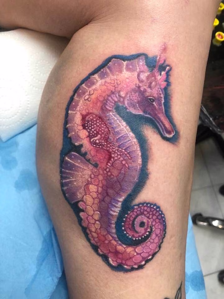 Hippocampe · Couleur