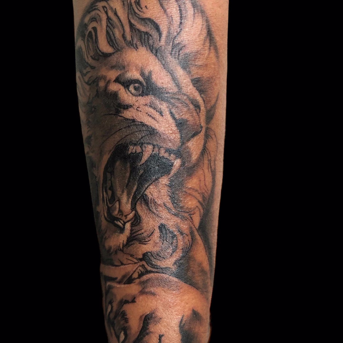 Lion réaliste noir et gris
